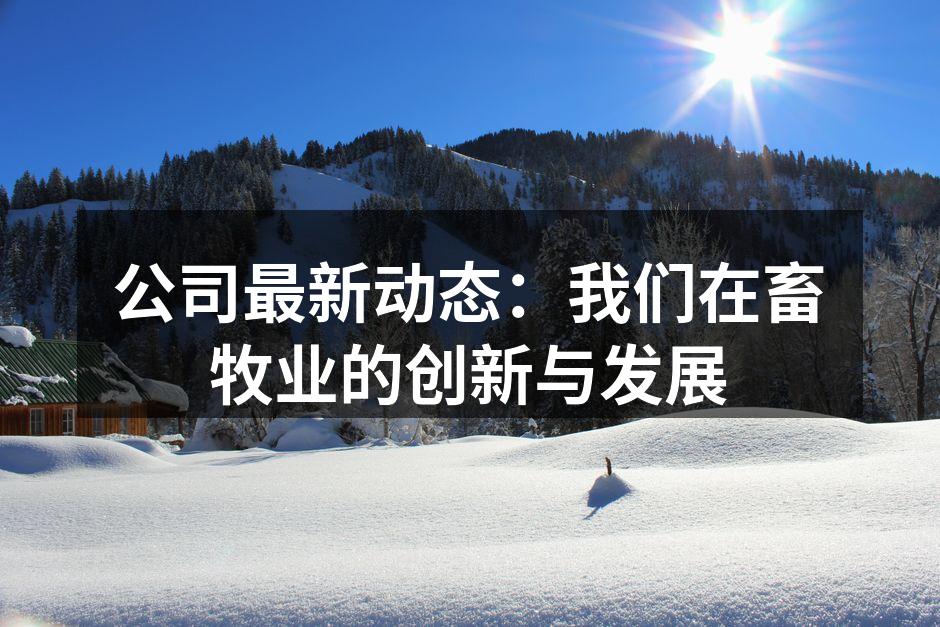 公司最新动态：我们在畜牧业的创新与发展